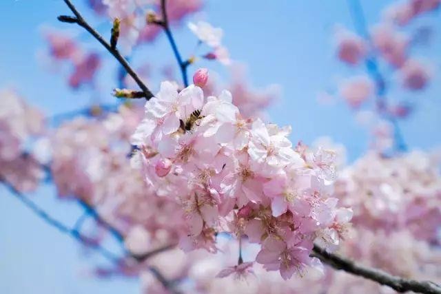 多少爱，从微信开始，死于微信