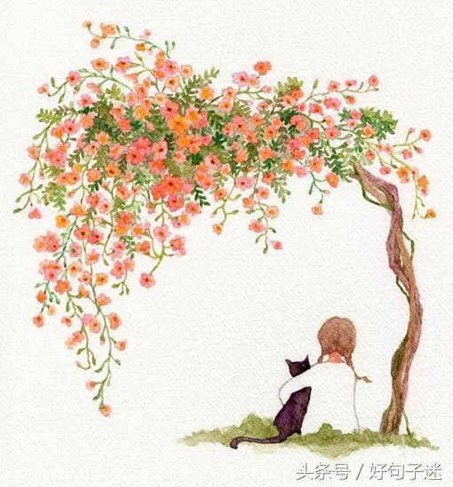 最近微信上率真洒脱的爱情语录读完让人感触很深！