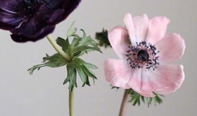 微信杀伤力很强足以拆散N对情侣