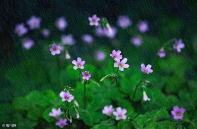 20个伤感爱情句子：一删微信便是永别愿你天黑有灯下雨有伞