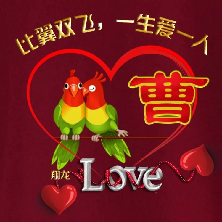 520爱情主题微信头像：换我心为你心比翼双飞