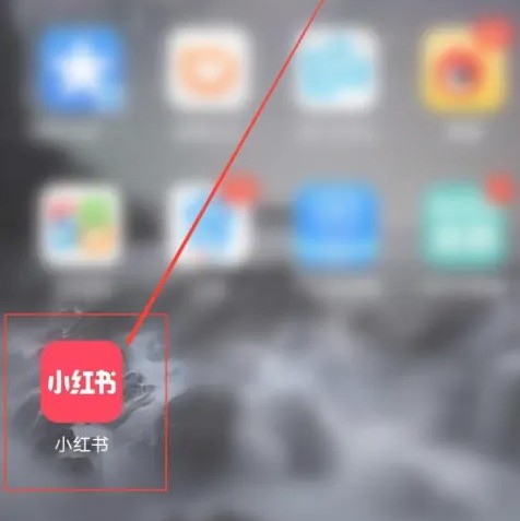 怎么才能知道小红书号？